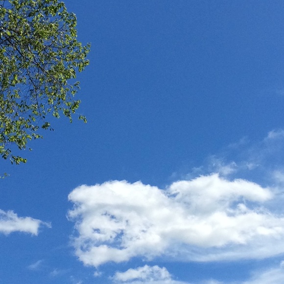 Meet your Posher, Maria - Picture 1 of 1